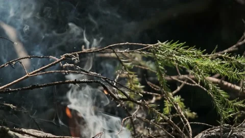 Detailed bonfire Stock Footage 136179398