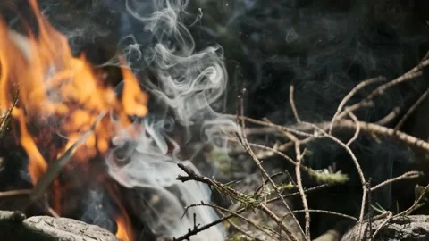 Detailed bonfire Stock Footage 136179405