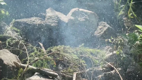Detailed bonfire Video stock 136179441