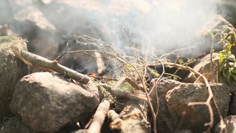 Detailed bonfire Stock Footage 136179443