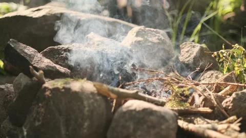 Detailed bonfire Stock Footage 136179482