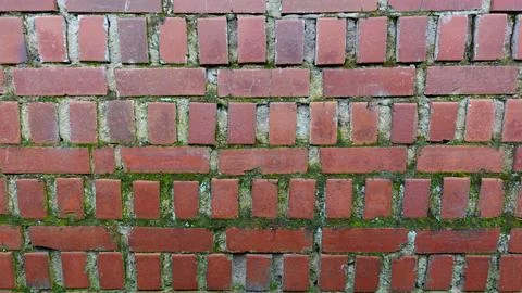 Detailed Brick Wall With Varying Patterns and Moss in Outdoor Setting Stock Photos