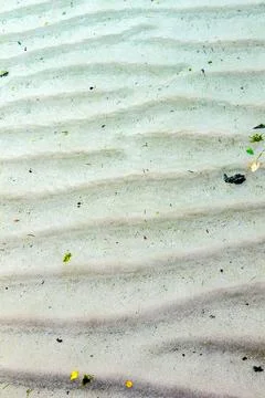A detailed close-up captures wavy patterns in sand beneath shallow water Stock Photos