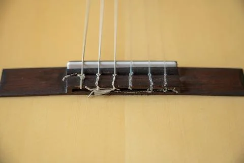Detailed close-up of classical guitar strings and bridge indoors. Stock Photos