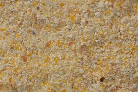 A detailed close-up of a ground mixture of corn, rye, and barley. The image.. Stock Photos