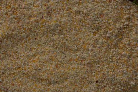 A detailed close-up of a ground mixture of corn, rye, and barley. The image.. Stock Photos