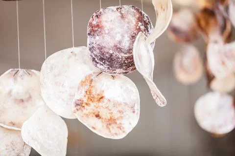 Detailed close up of hanging shells Stockfoto's