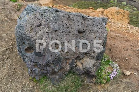 Detailed close up of a lava stone on iceland Stock Photos