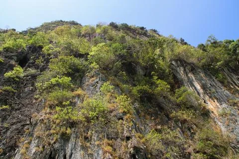 A detailed close-up of rugged limestone cliffs in Thailand. Stock-Fotos