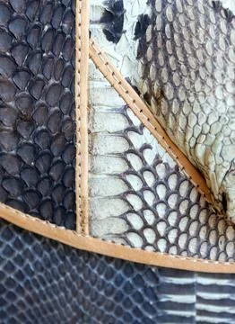 Detailed close up of snakeskin pattern and leather trim on a handbag. Exotic  Stock Photos