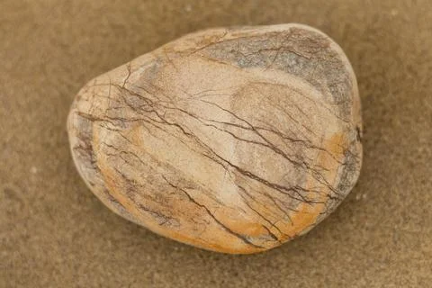Detailed close-up of a stone with an interesting natural pattern resting on s Stock Photos
