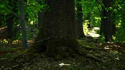 Detailed close up view on a forest ground texture with moss Ilustração Stock
