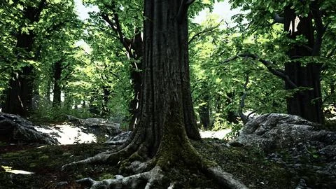 Detailed close up view on a forest ground texture with moss Stock Illustration