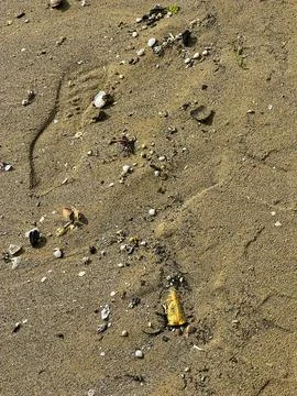 A detailed close up view of a sandy surface showing footprints in it Stock Photos
