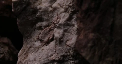 Detailed Close-up of Weathered Rock Surface Stock Footage 286716236