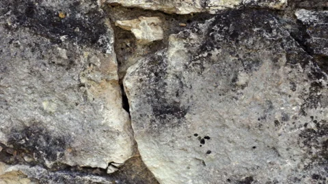 A Detailed Close-Up of a Weathered Stone Wall, Captured with the Camera Panning  Stock Footage 315765683