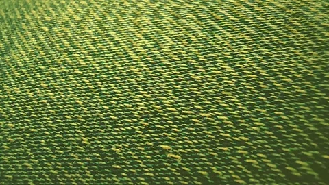 Detailed close-up of woven fabric surface showing fine thread patterns Stock Footage 320189834
