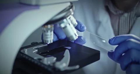 Detailed closeup image of laboratory slide displaying sample analysis Stock Footage 299903281