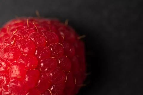 Detailed closeup of single red raspberry Stock Photos