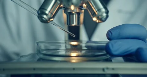Detailed CloseUp View of a Laboratory Microscope with Petri Dish Stock Footage 300362277