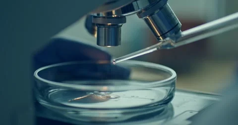 Detailed CloseUp View of a Laboratory Microscope with Petri Dish 库存影片 300362333