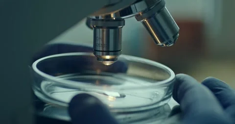 Detailed CloseUp View of a Laboratory Microscope with Petri Dish 스톡 동영상 300362385