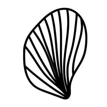 Detailed contour of a shell in simple monochrome style. Stock Illustration
