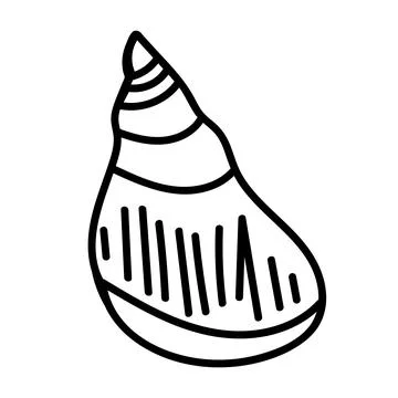 Detailed contour of a shell in simple monochrome style. Stock Illustration