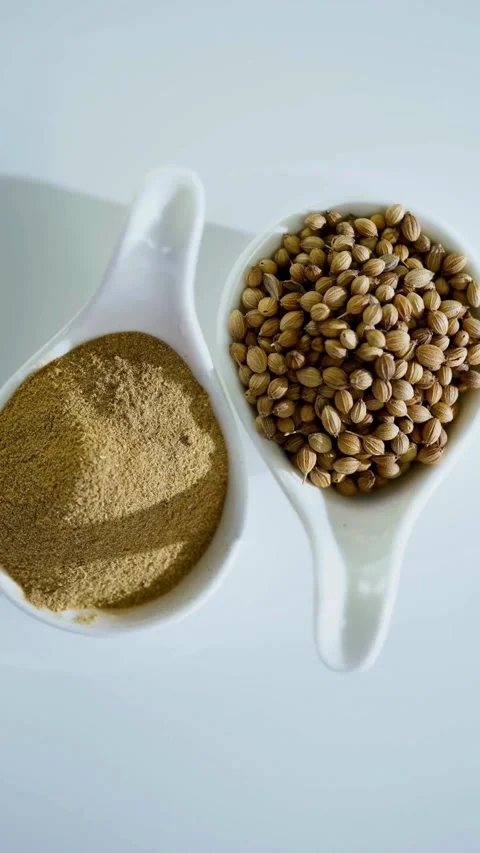 Detailed Coriander Model Shown For Educational Purpose Video Stock-Footage 331764492