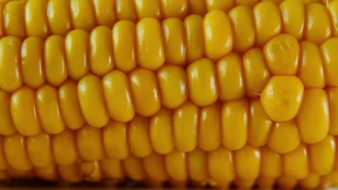Detailed Corn Cob Texture in Macro with Cinematic Horizontal Slide. Stock Footage 340028494