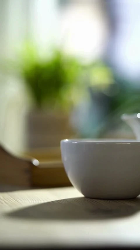 Detailed Cup Model Shown For Educational Purpose Video Vídeo Stock 331763973