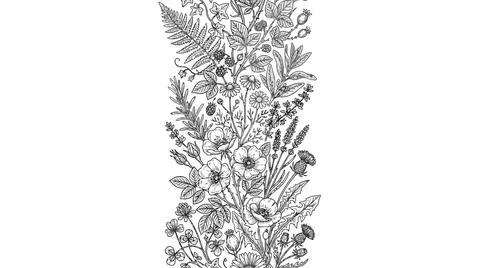 Detailed decorative vine pattern design Stock Illustration