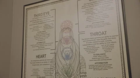 In a detailed diagram, the functions of a human are thoroughly described Stock Footage 276517752