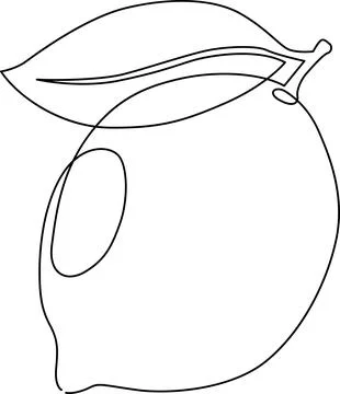 A detailed drawing of a lemon with a leaf and stem. Vector Stock Illustration