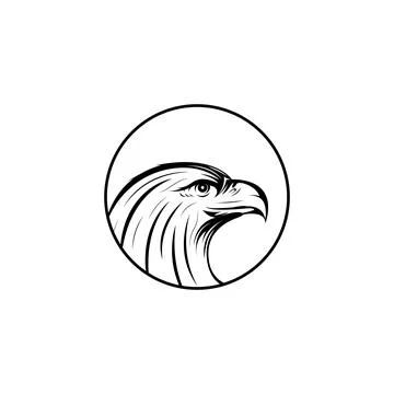 Detailed eagle head drawing. Vector Stock Illustration