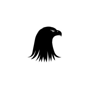 Detailed eagle head drawing. Vector Stock Illustration