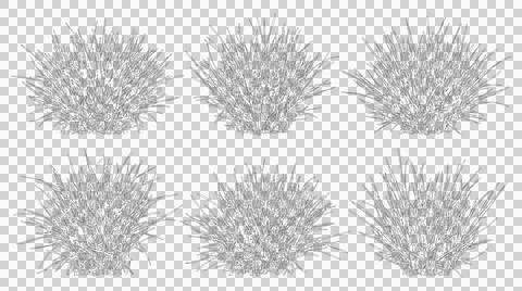 Detailed elevation view of six wild grass bushes isolated on transparent Stock Illustration