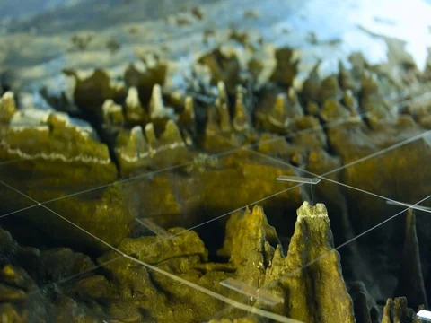 Detailed Examination of the Surface of the Seabed, Defocusing. Planet Surface. Stock Footage 72015739