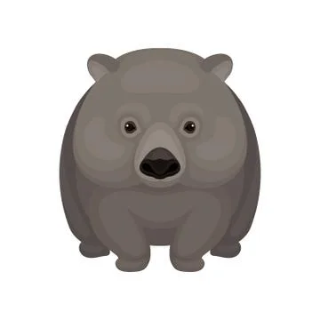 Detailed flat vector icon of cute gray wombat. Small Australian marsupial bear Stock Illustration