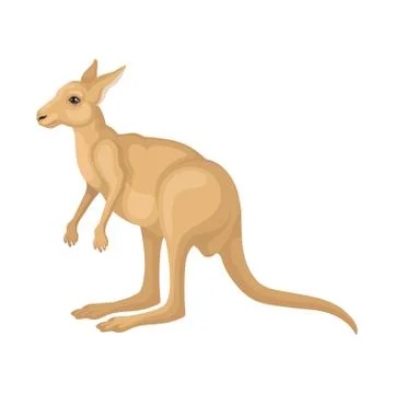 Detailed flat vector icon of kangaroo, side view. Large Australian marsupial Stock Illustration