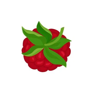 Detailed flat vector icon of ripe raspberry with green peduncle. Sweet summer Stockillustratie