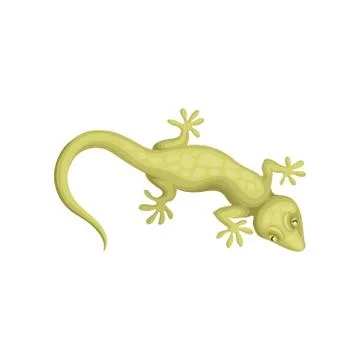 Detailed flat vector icon of small-spotted lizard. Reptile with long body and Stock Illustration