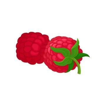 Detailed flat vector icon of two fresh raspberries. Juicy summer fruit. Natural Illustrazione stock