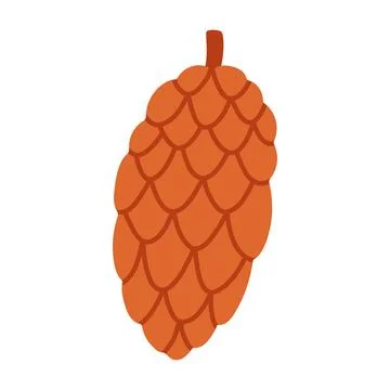 A detailed flat vector illustration of a long, oval-shaped pine cone in warm Stock Illustration