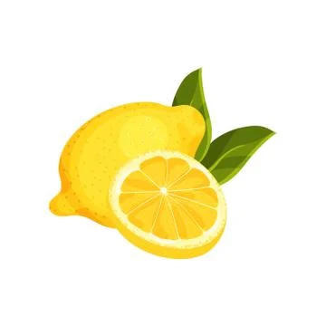 Detailed flat vector of round slice and whole lemon with green leaves. Ctrus Stock Illustration