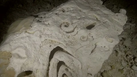 Detailed fossil pattern on limestone surface in cave Stock Footage 331798268