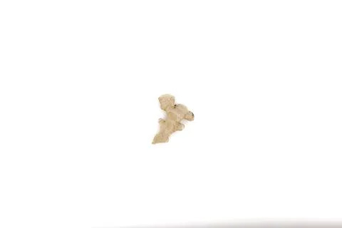 Detailed ginger root presented on clean white studio light. Stock Photos