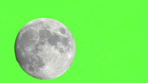 Detailed Green Screen Animation Of Full ... | Stock Video | Pond5