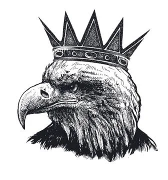 Detailed hand drawn eagle Stock Illustration