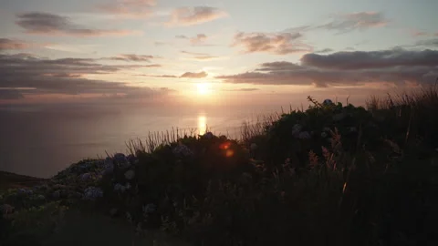 Detailed High-Angle Wide View of a Scenic Coastal Cliff Edge Lined with Vidéo 335006004